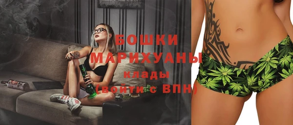 дмт Богородицк
