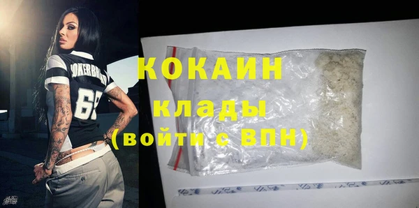 дмт Богородицк