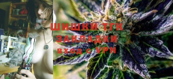 дмт Богородицк