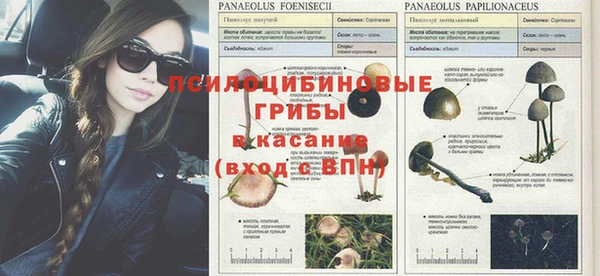 кокаин перу Богданович