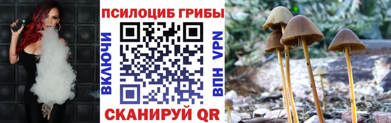 цены наркотик  Хотьково  Галлюциногенные грибы прущие грибы 